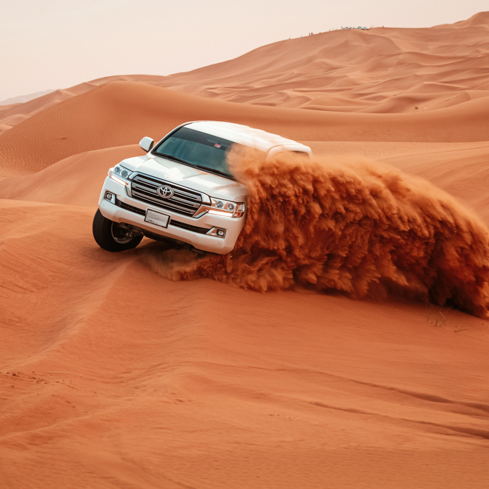 Best Desert Safari in the UAE